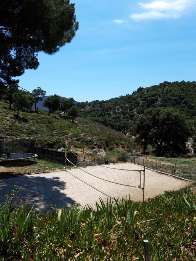 Les Amandiers - 5 Km De La Plage Sainte-Maxime Exterior foto
